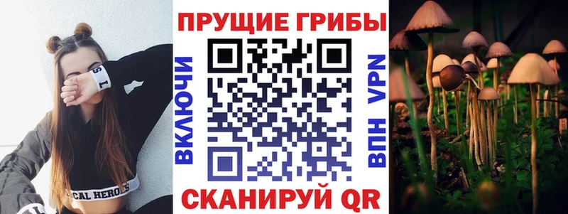 Псилоцибиновые грибы ЛСД закладки Рубцовск